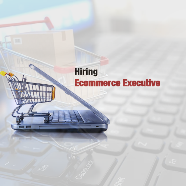 E Commerce Executive/ Manager