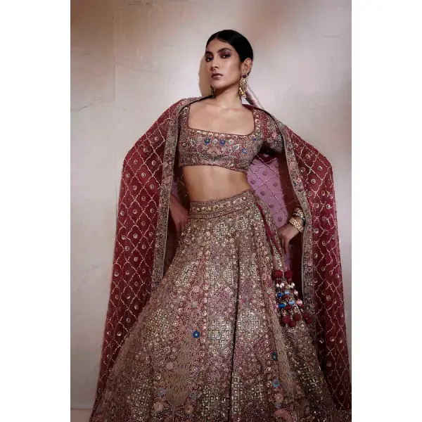 Anita Dongre-Avani Zardozi Silk Lehenga - Wine