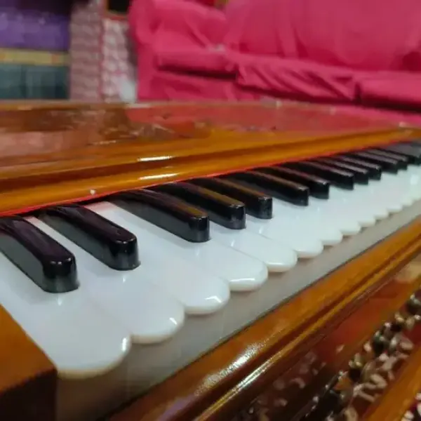 NationalMusic-Vintage Themed 3.75 Octave 3 Line Standard Harmonium