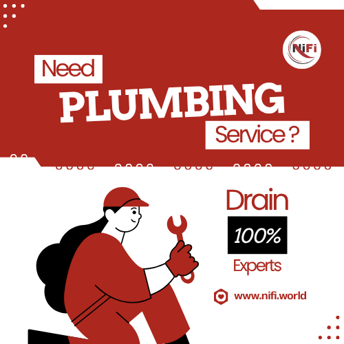 Professional Plumbing Services